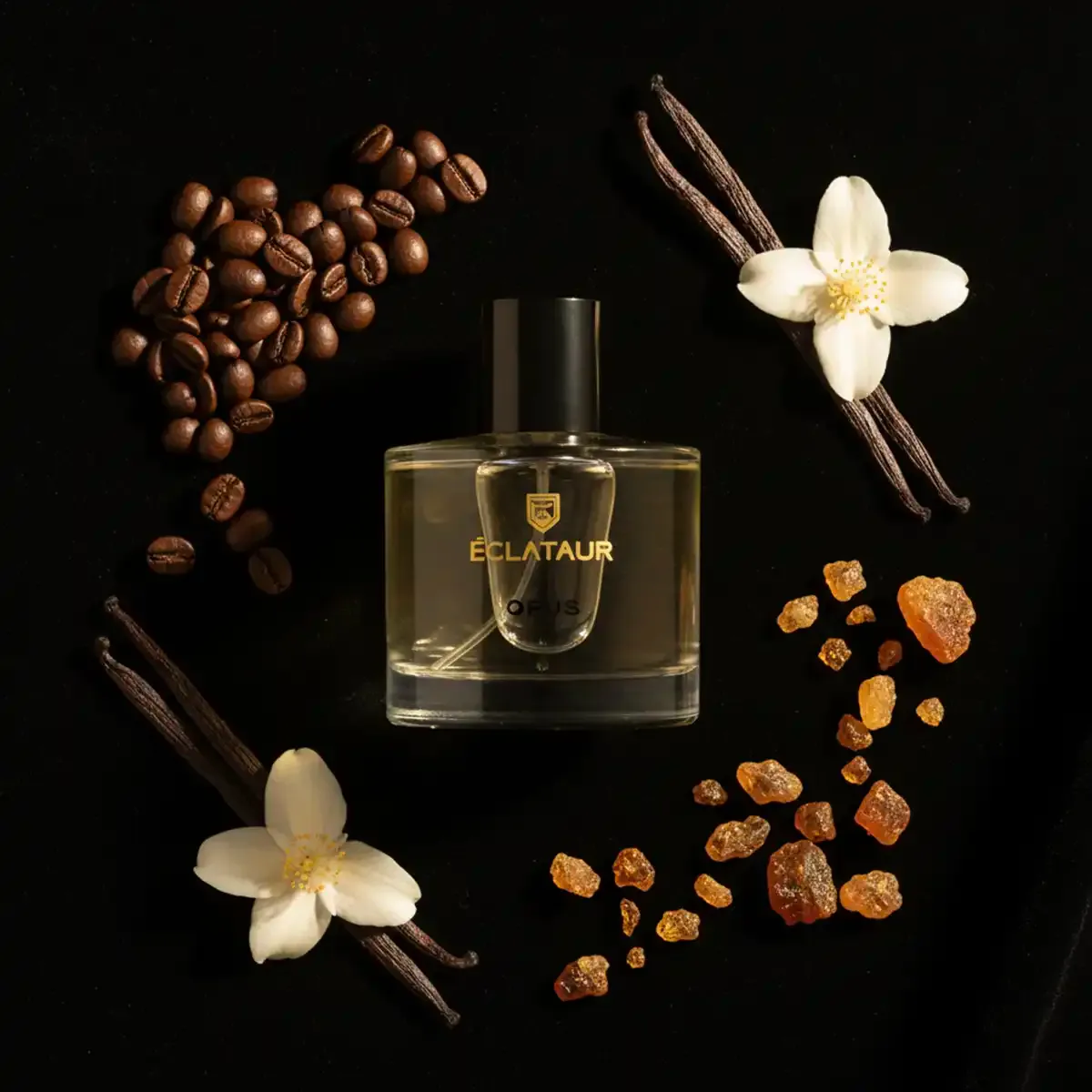 ÉCLATAUR OPUS gourmand perfumes for women bottle, matte black cap with gold detail
